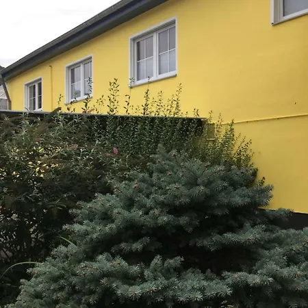 Moselblick Treis-Karden