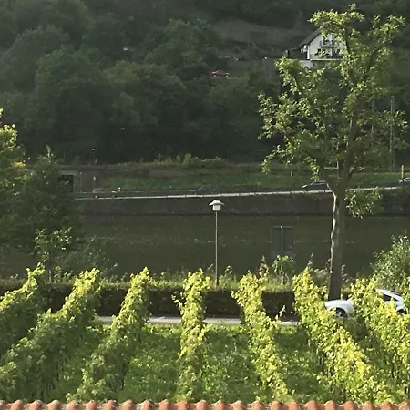 Lejlighed Moselblick *